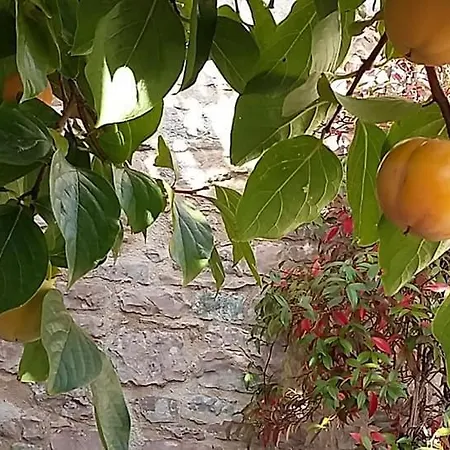 Apartamento Casetta Nonna Augusta Spello